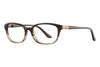 Avalon Eyeglasses 5050 - Go-Readers.com