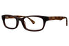 Vivid ECRU Eyeglasses COSTELLO - Go-Readers.com