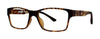 Oxygen Eyeglasses 6001 - Go-Readers.com