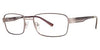 Vivid TR90 Eyeglasses 225D - Go-Readers.com