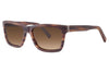 Vivid Sunglasses 789S - Go-Readers.com